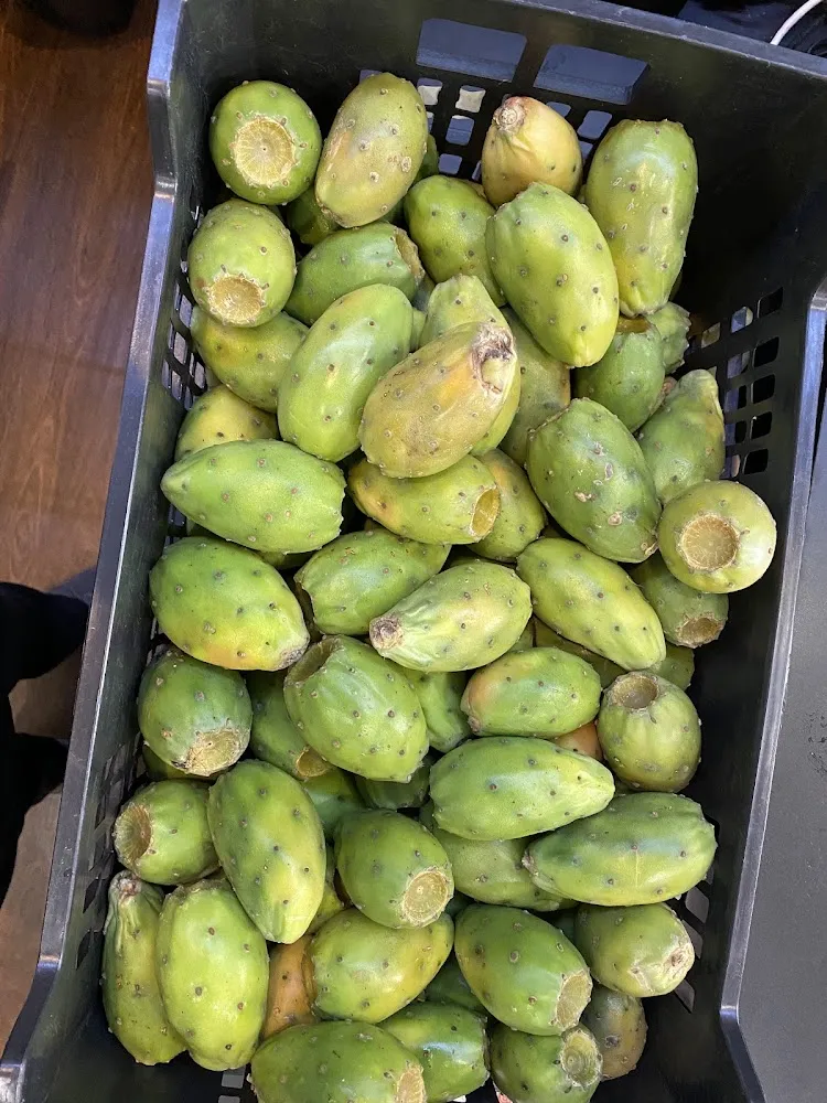 Cactus Fruit